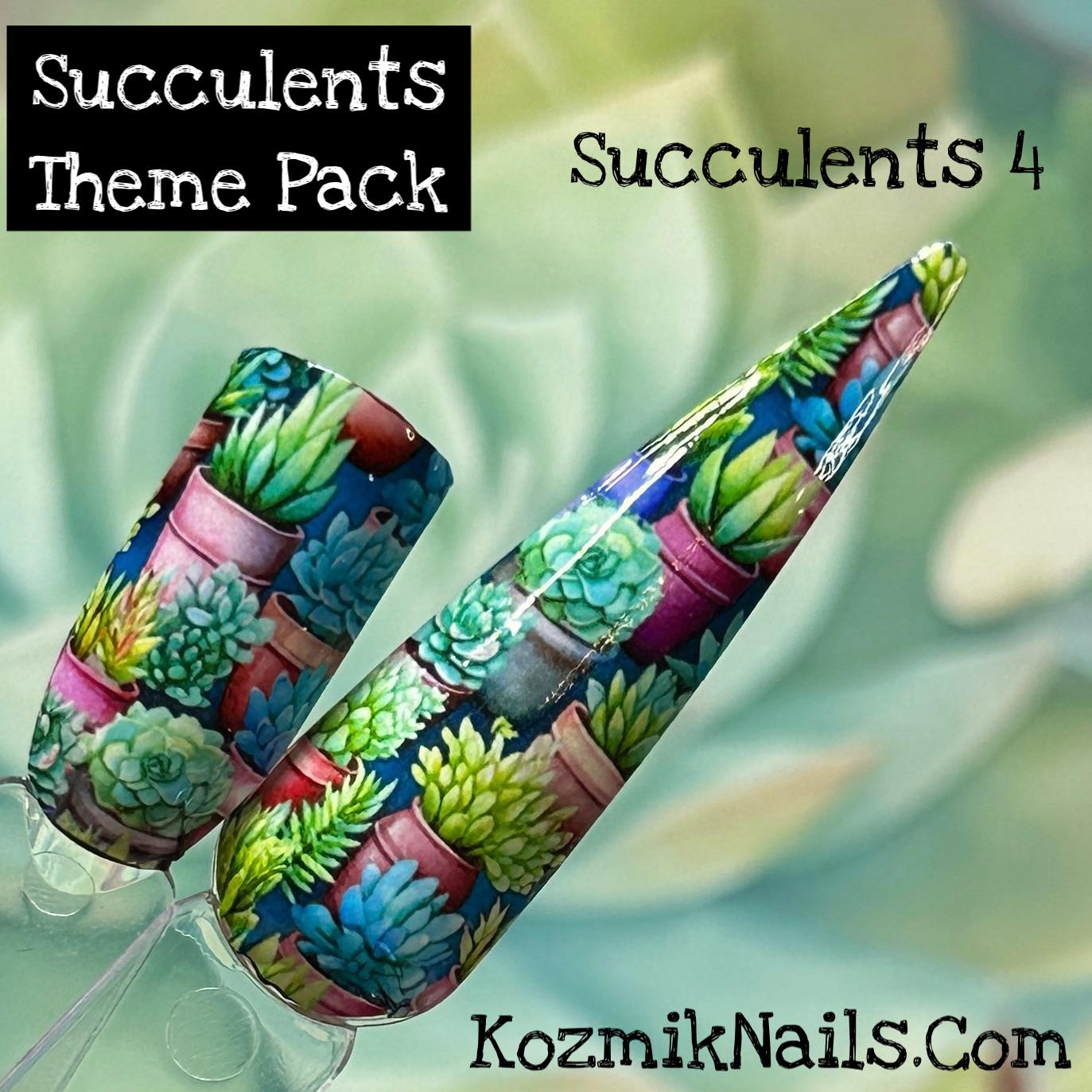 succulent wraps Succulents 4 Colorful Flowerpot Nail art waterslide wrap water decal White/Solid Background