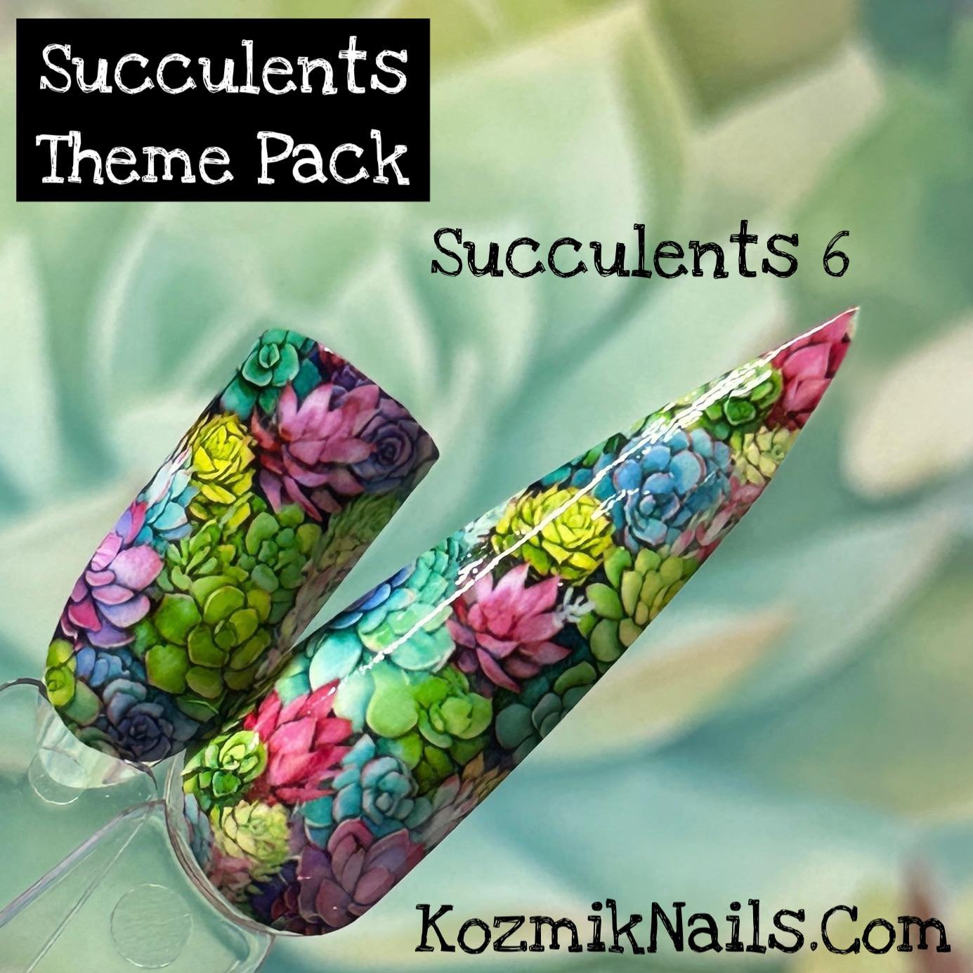 succulent theme Succulents 6 colorful plants Nail art waterslide wrap water decal White/Solid Background