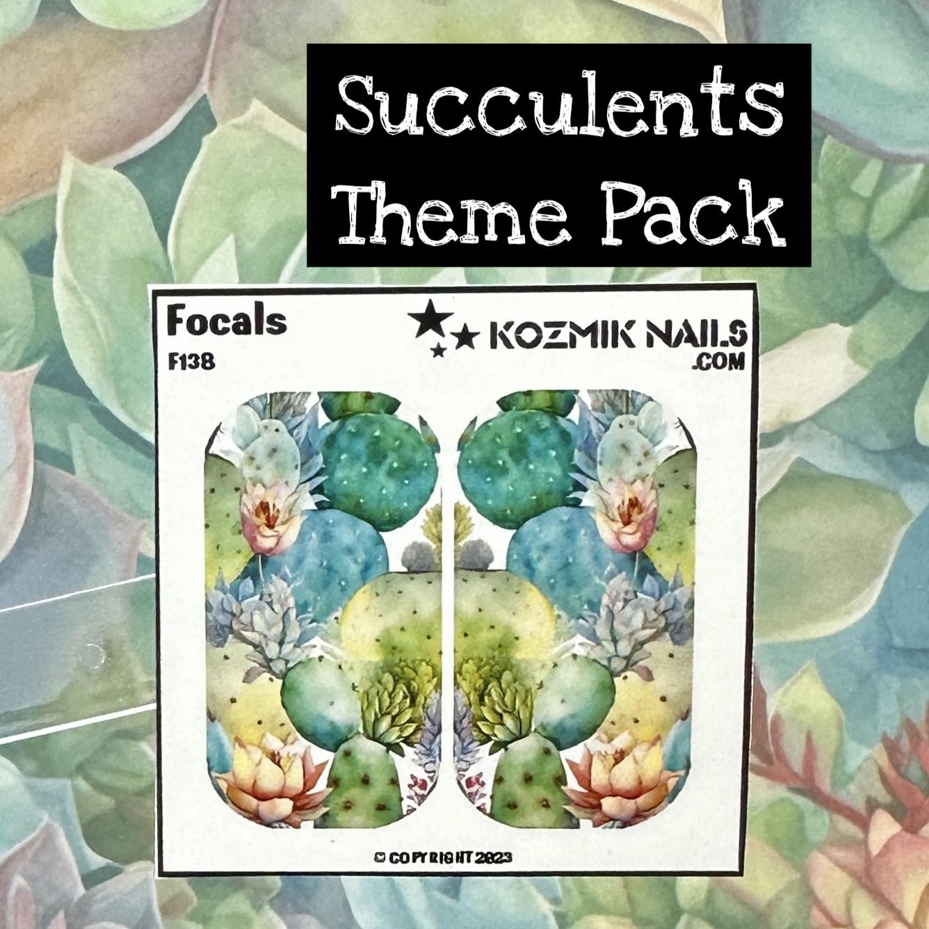 F138 Flowering Cactus