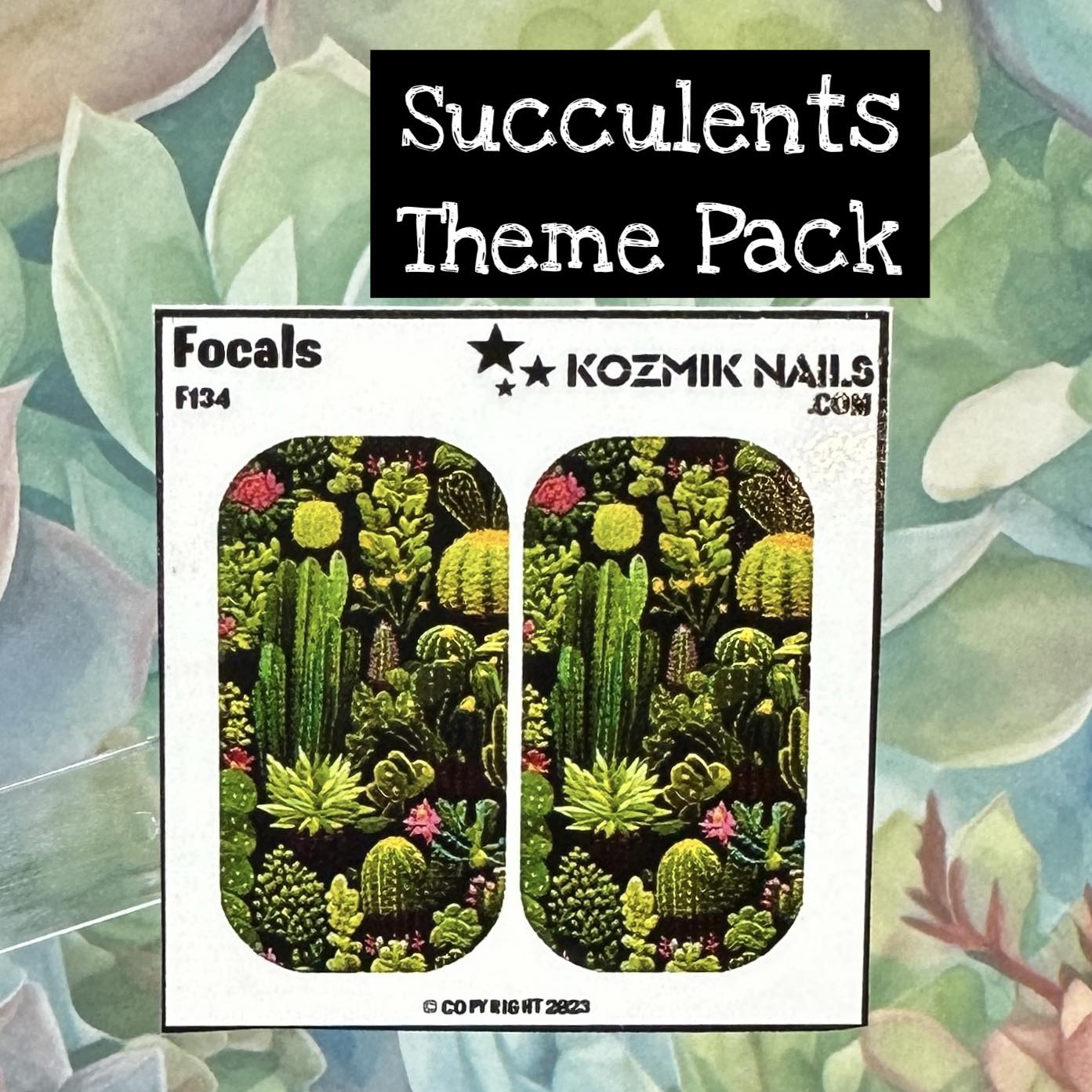 F134 Embordered Succulents