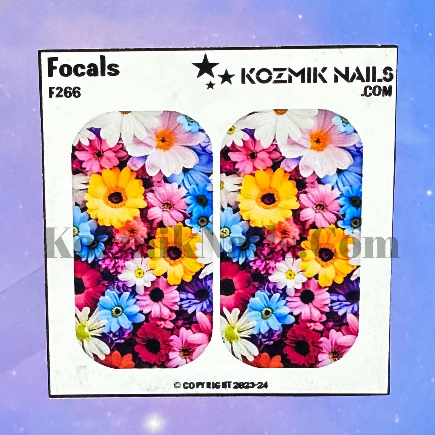 F266 Colorful Daisies