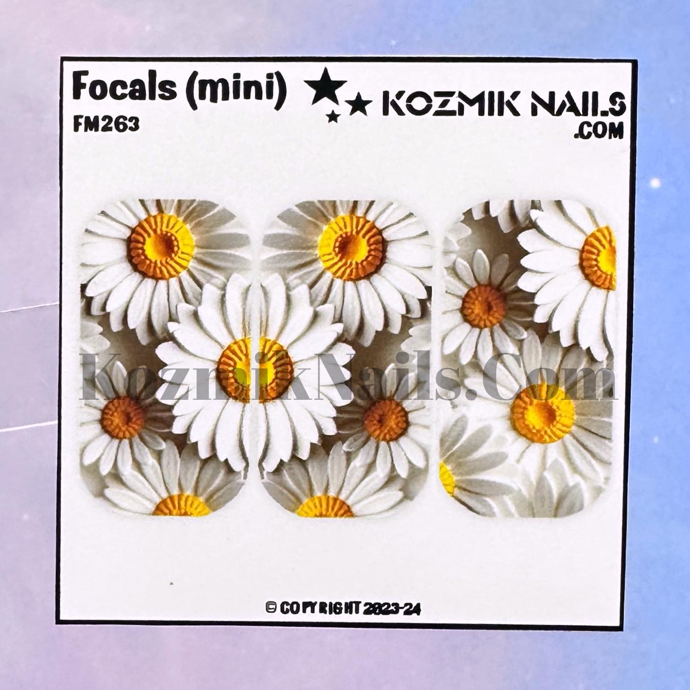 F263 Dramatic Daisies