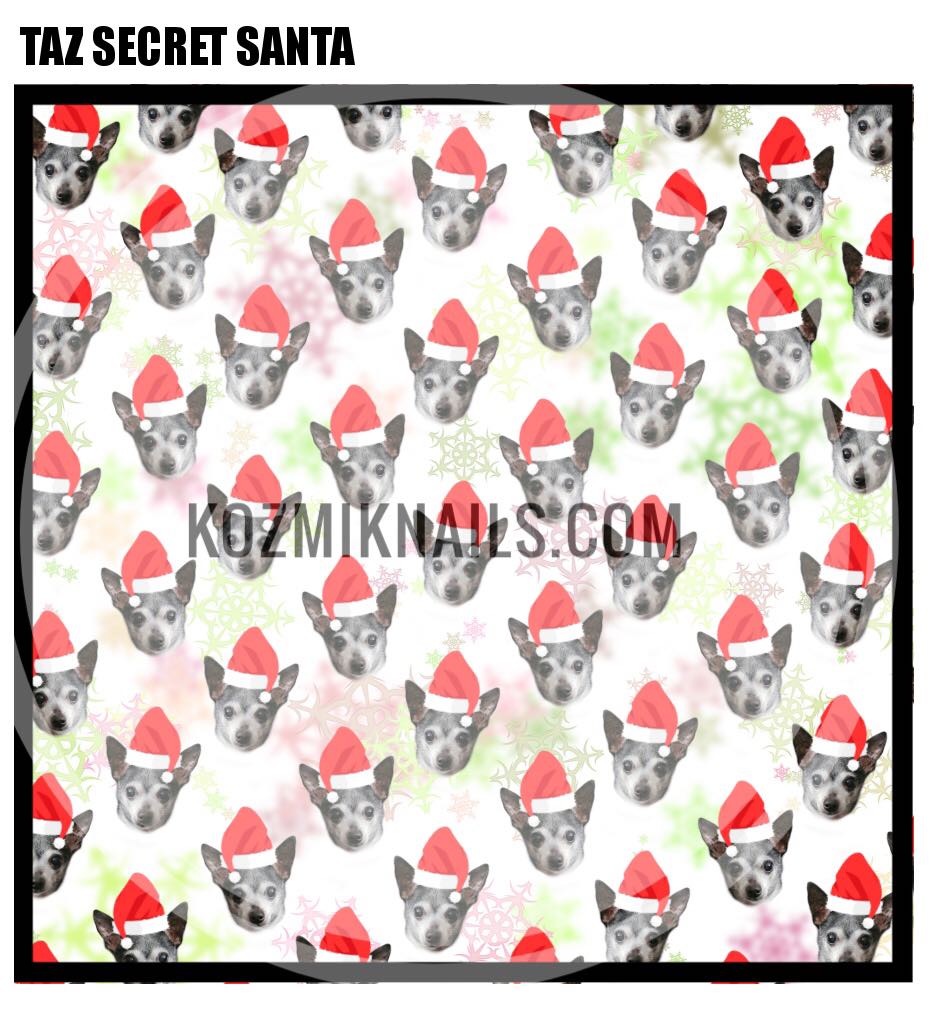 Taz Secret Santa