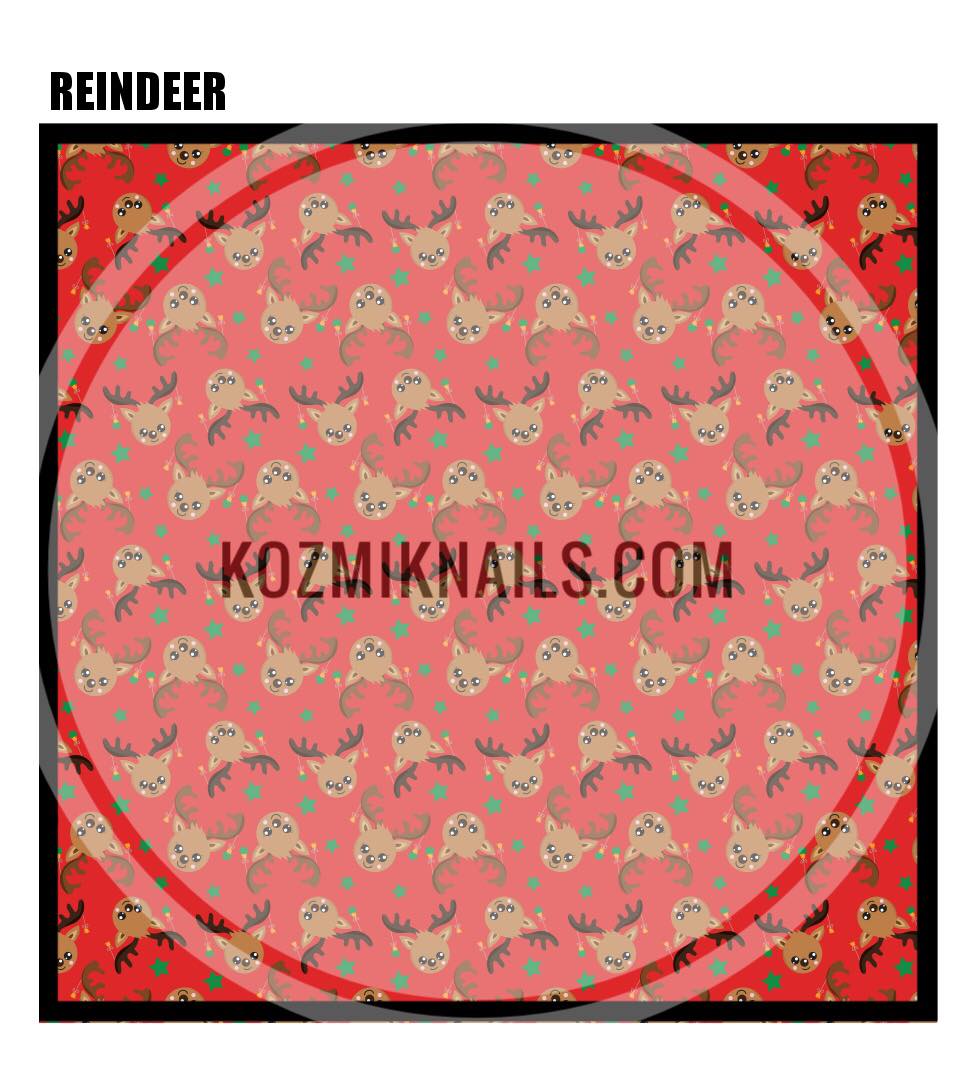 Reindeer 1