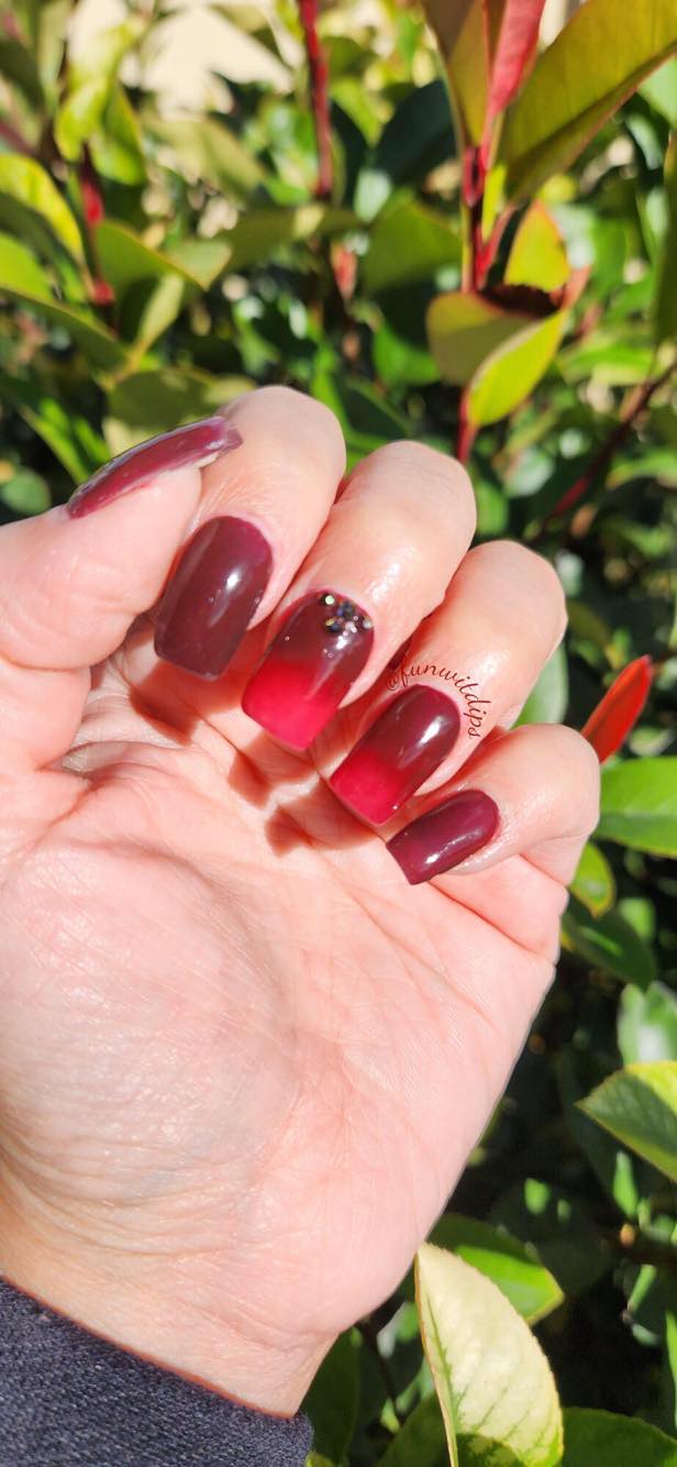 Midnight Rose Collection