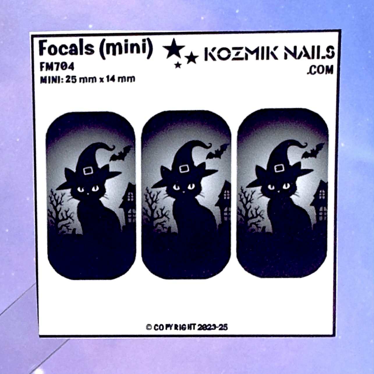 F704 Black Cat Witch Hat