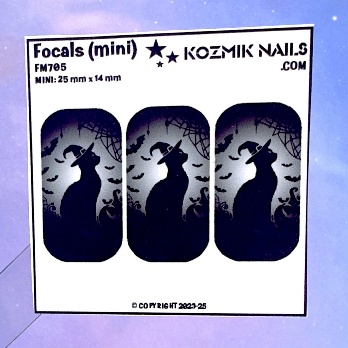 F705 Black Cat Witch Hat and Bats