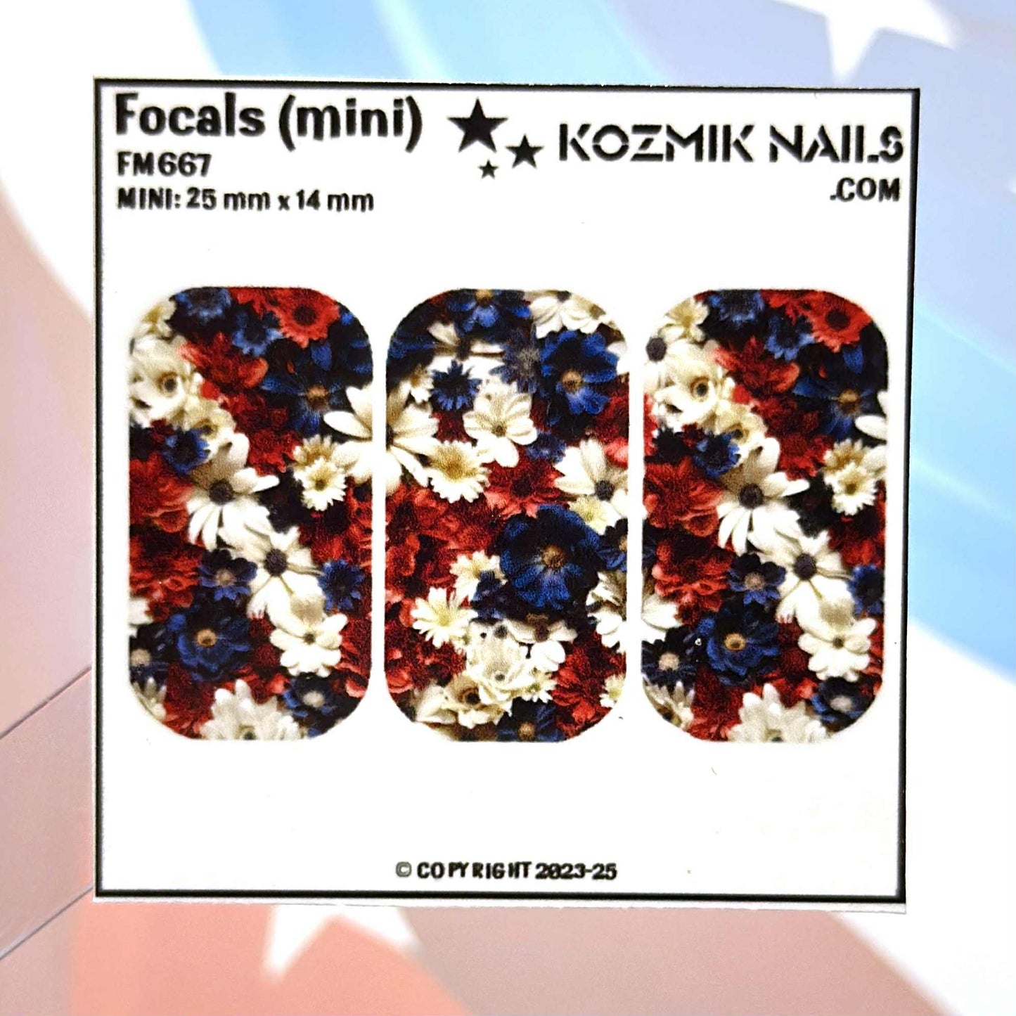 F667 Red White and Blue Flowers