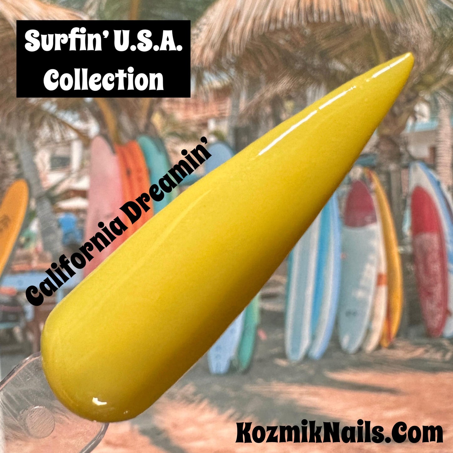 Surfin' U.S.A.