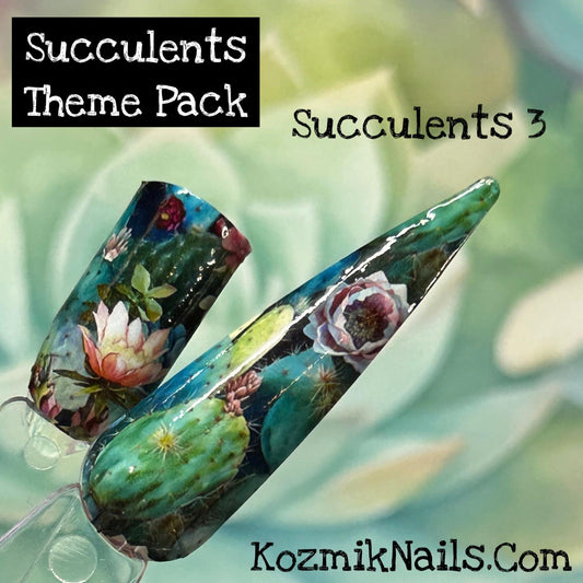 Succulents 3