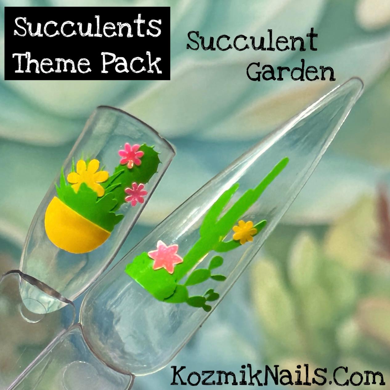 Succulents Garden