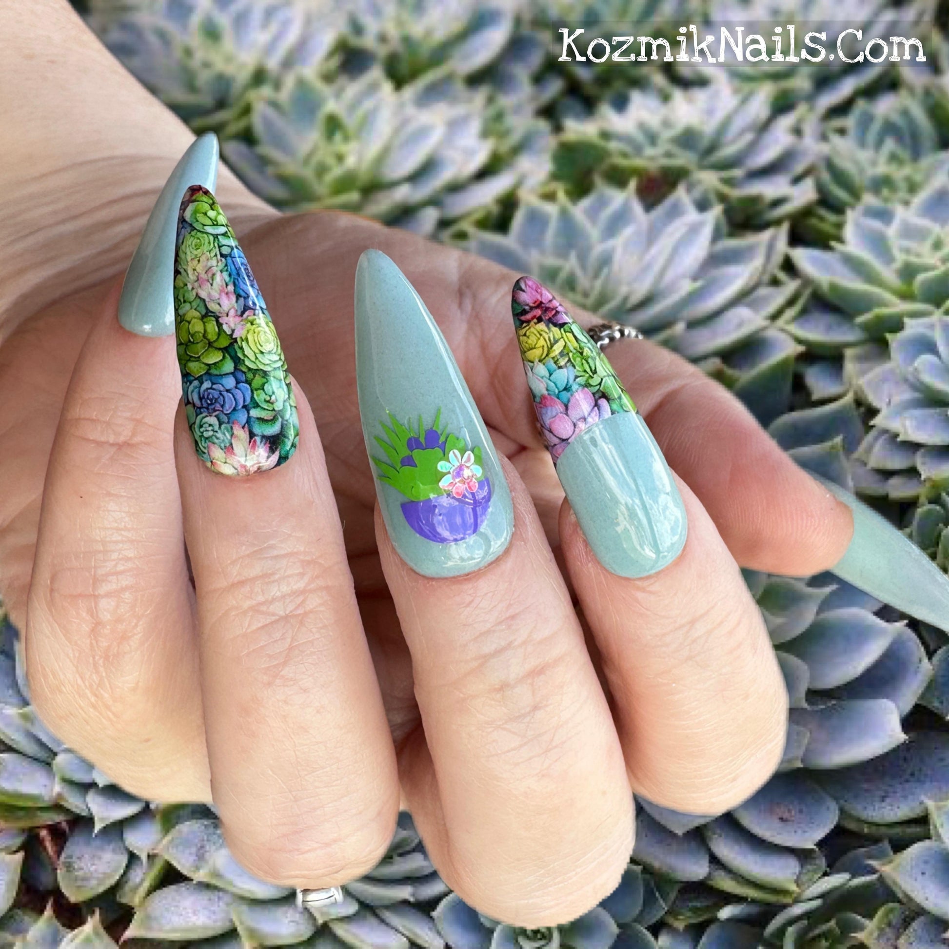 succulent nails Succulents Garden
