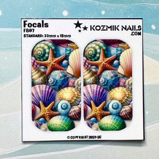F807 Sea Shells & Starfish