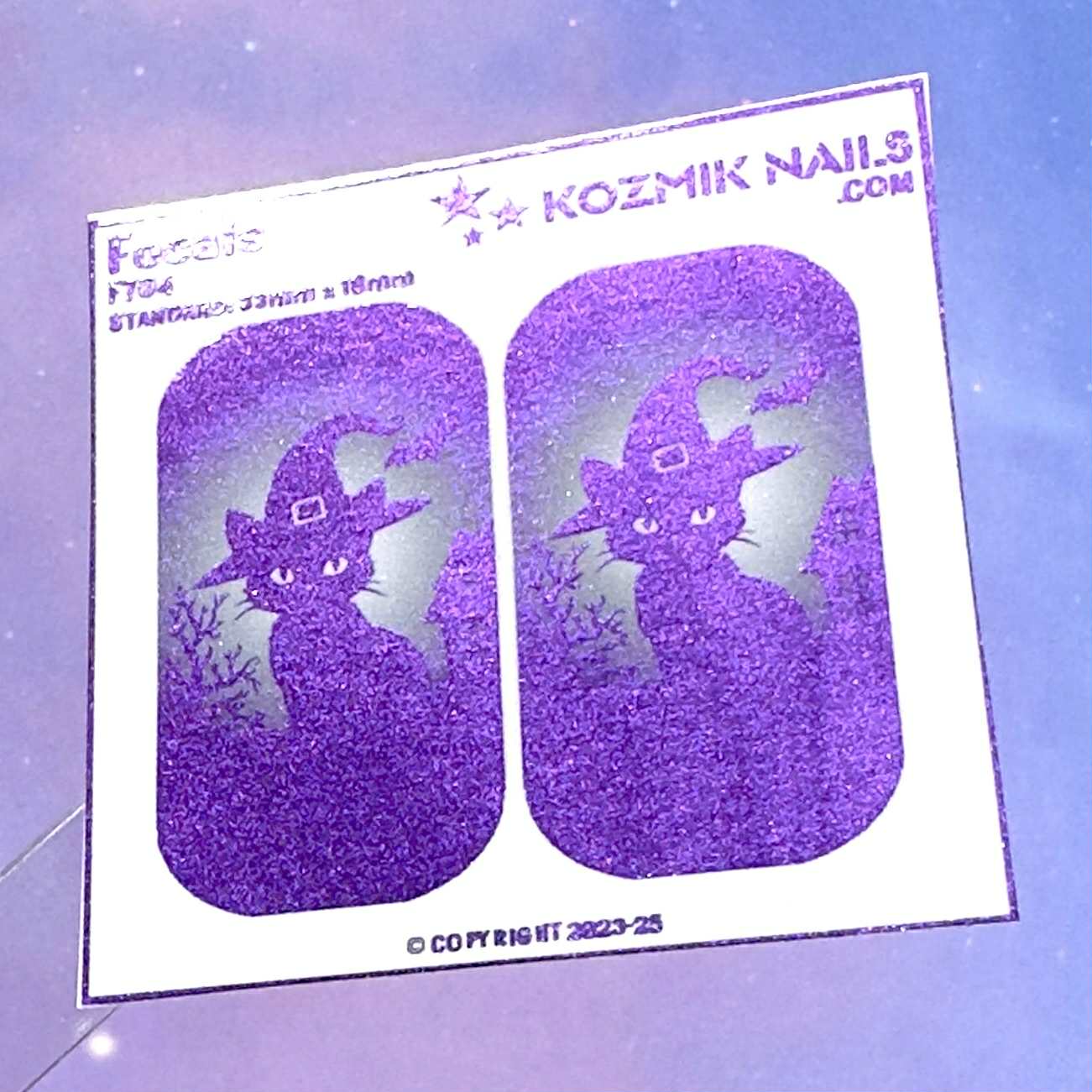 F704 Black Cat Witch Hat