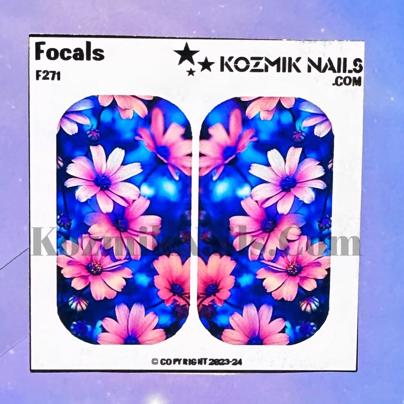 F271 Artsy African Daisies