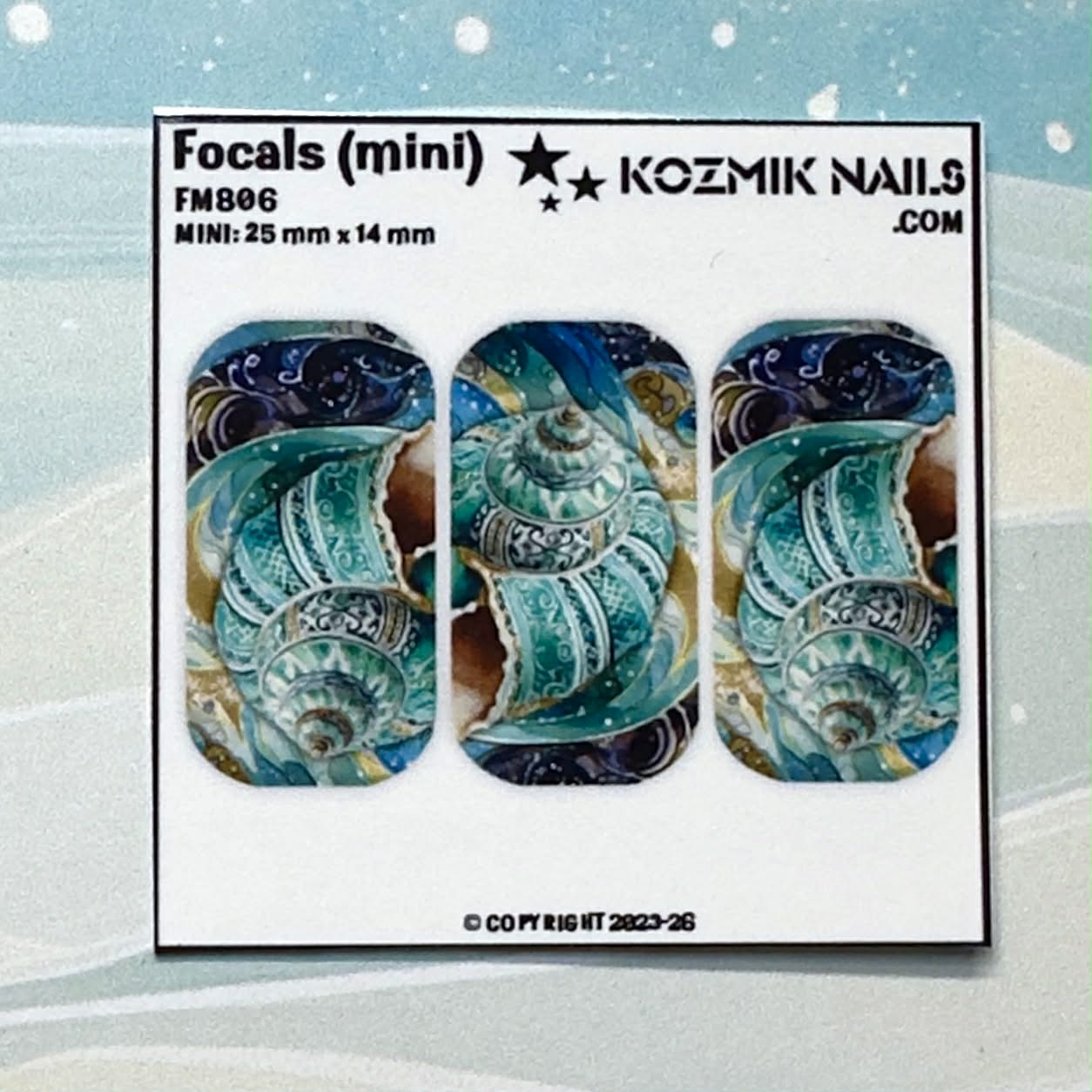 F806 Decorated Sea Shell
