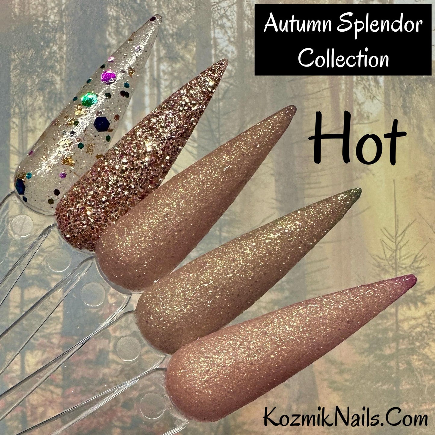 Autumn Splendor Collection