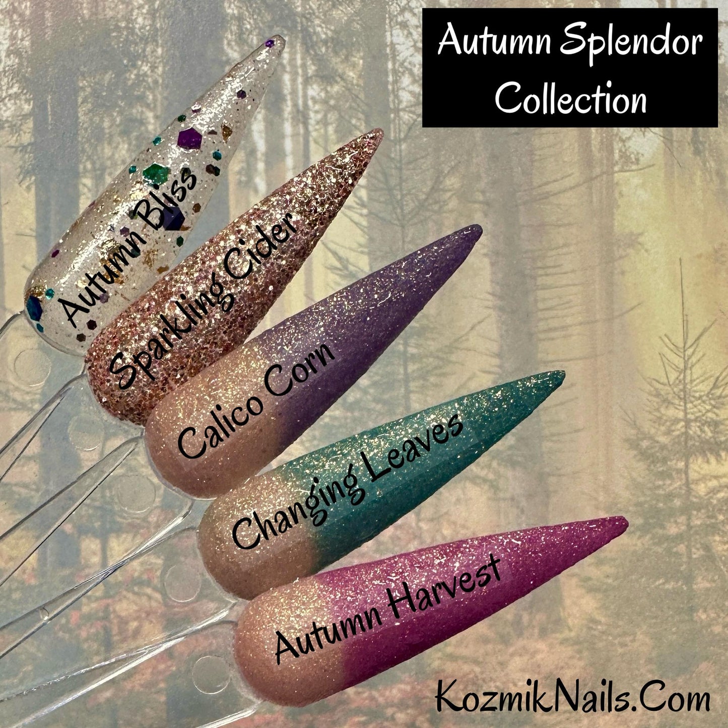 Autumn Splendor Collection