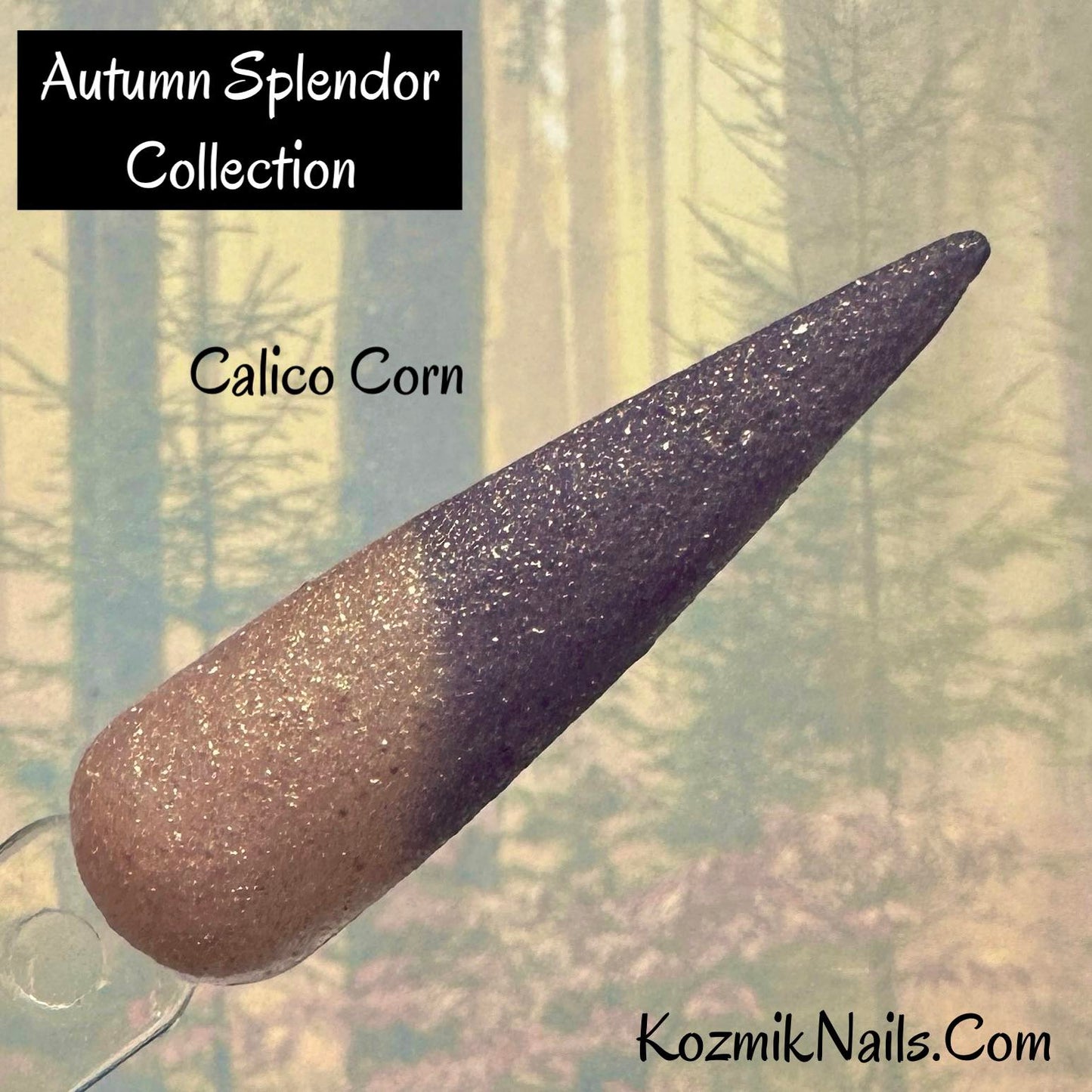 Autumn Splendor Collection