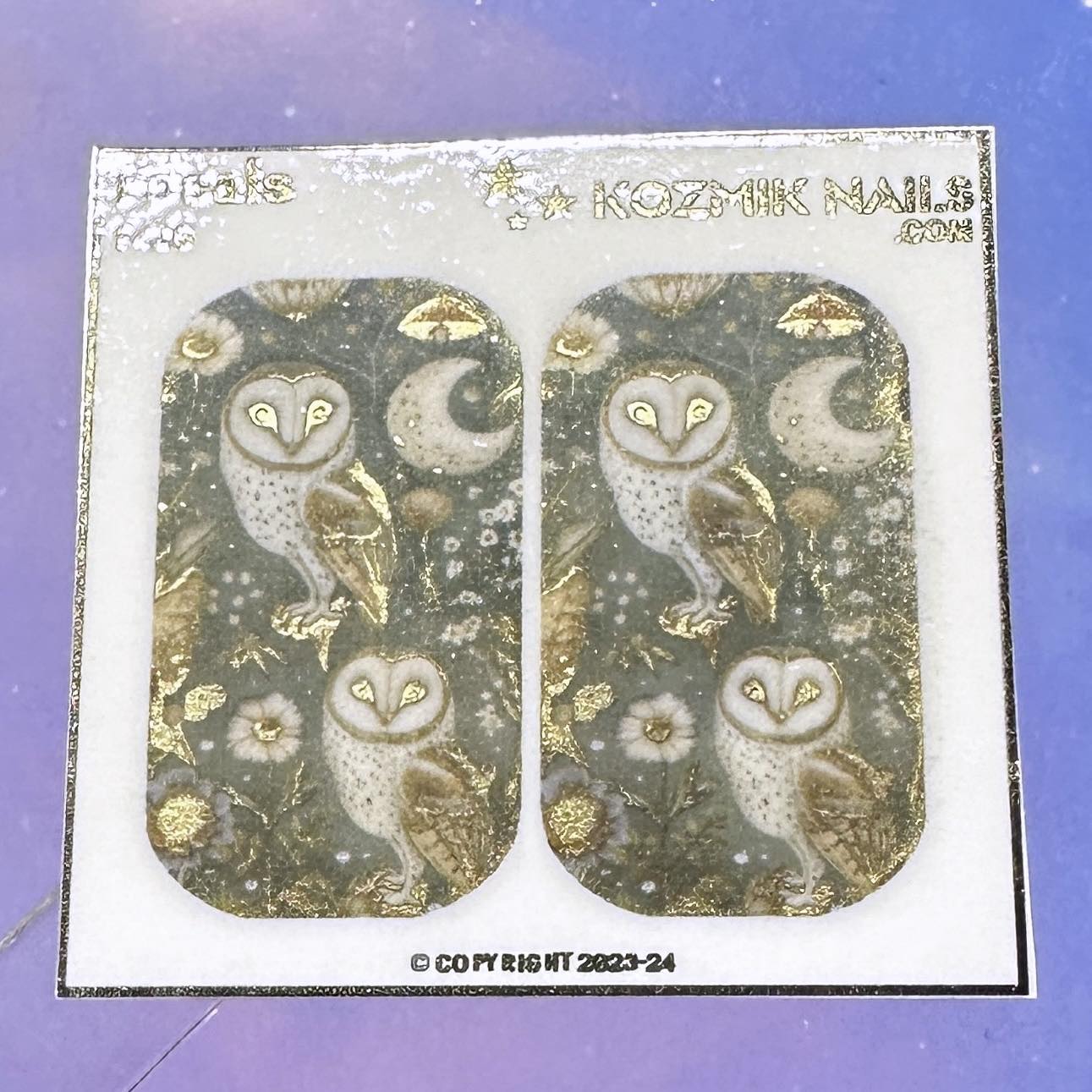 F426 Barn Owls