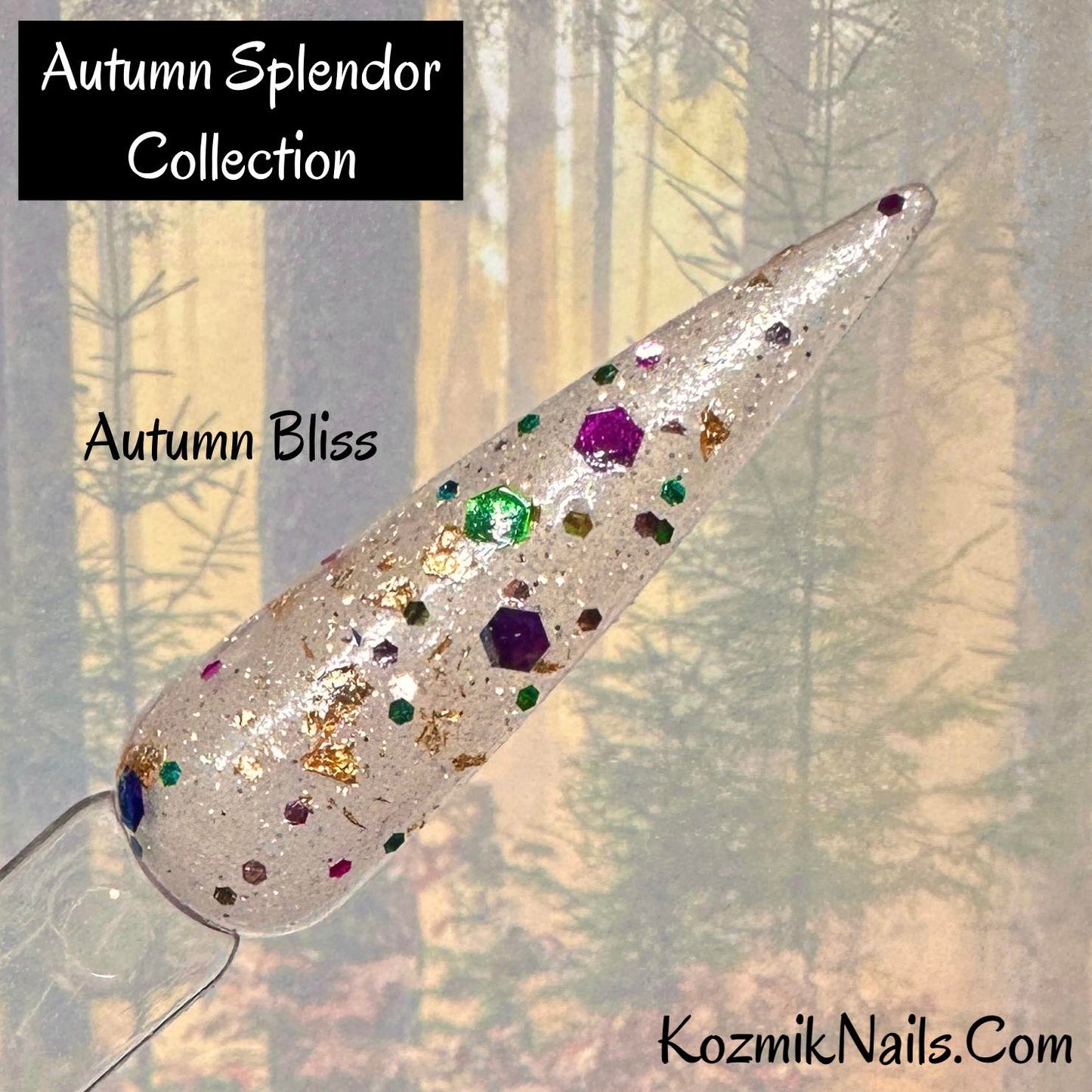 Autumn Splendor Collection