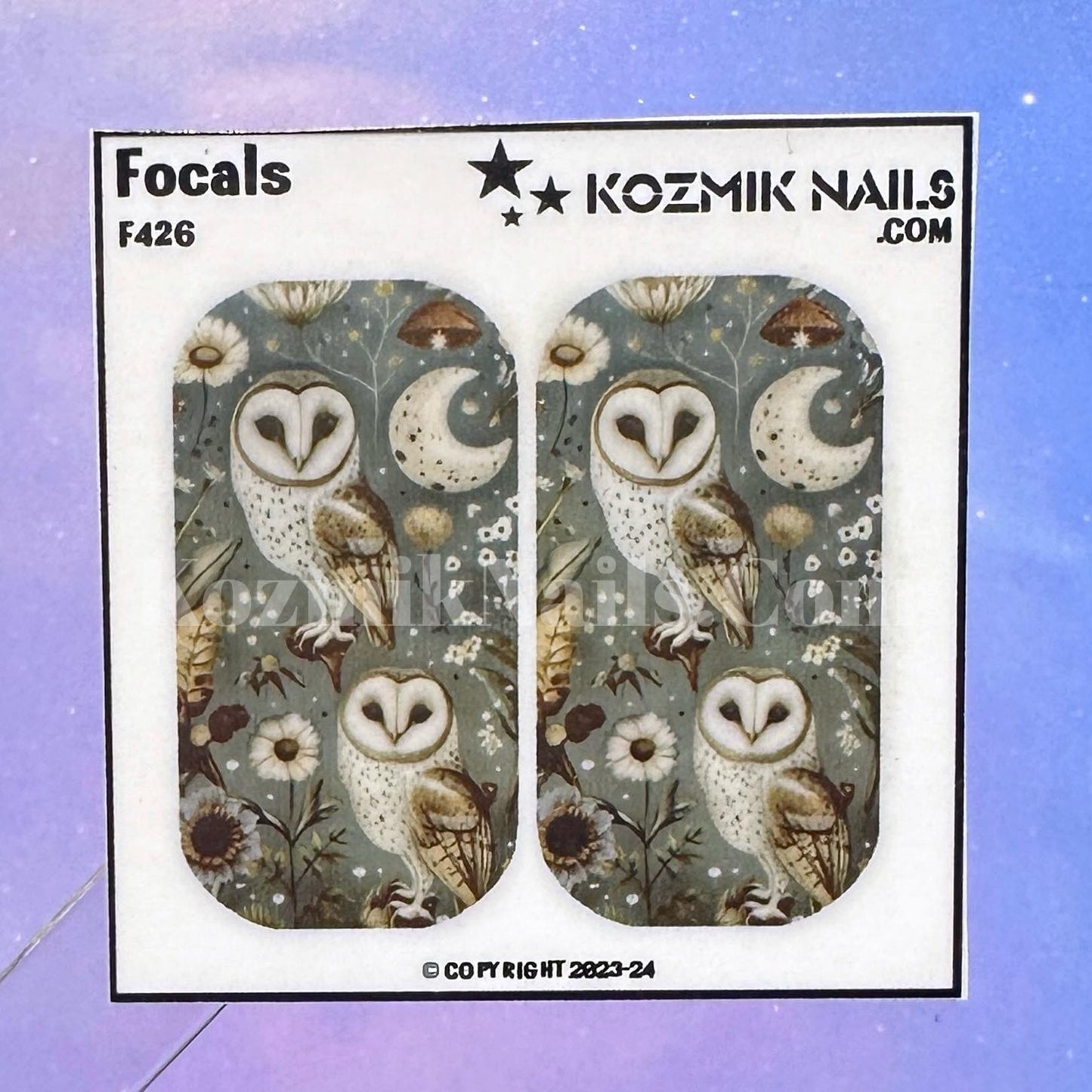 F426 Barn Owls