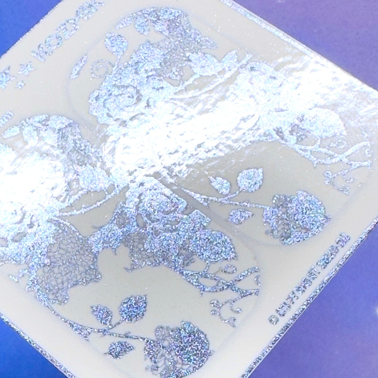 F758 Black Roses & Tattered Lace