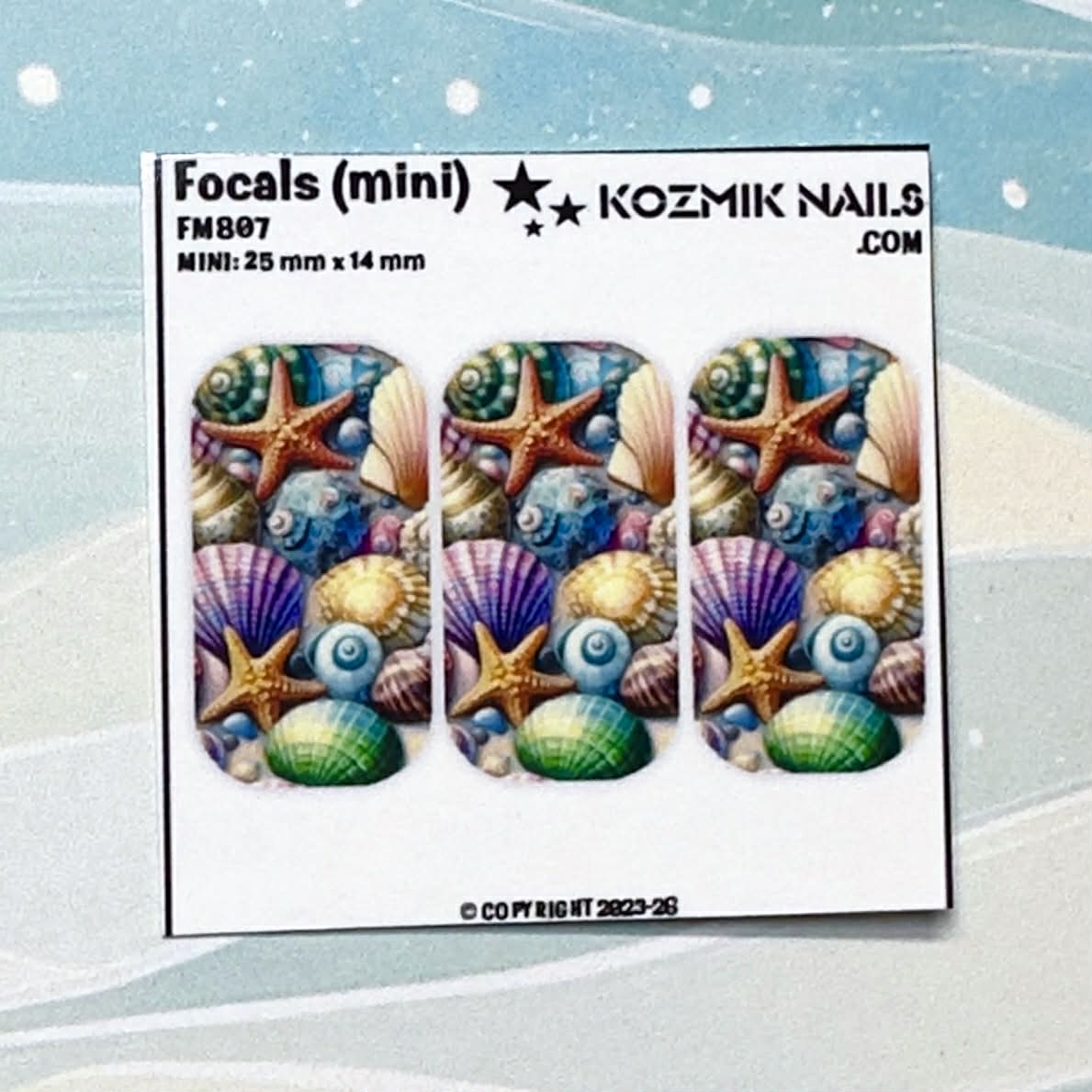 F807 Sea Shells & Starfish