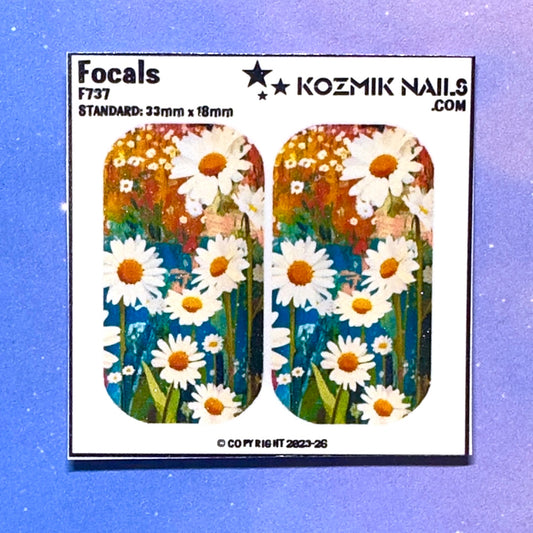 F737 Painted Daisies