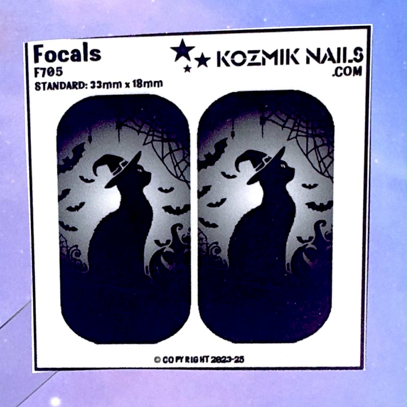 F705 Black Cat Witch Hat and Bats