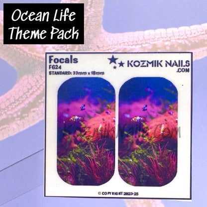 F624 Clownfish School