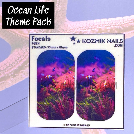 F624 Clownfish School