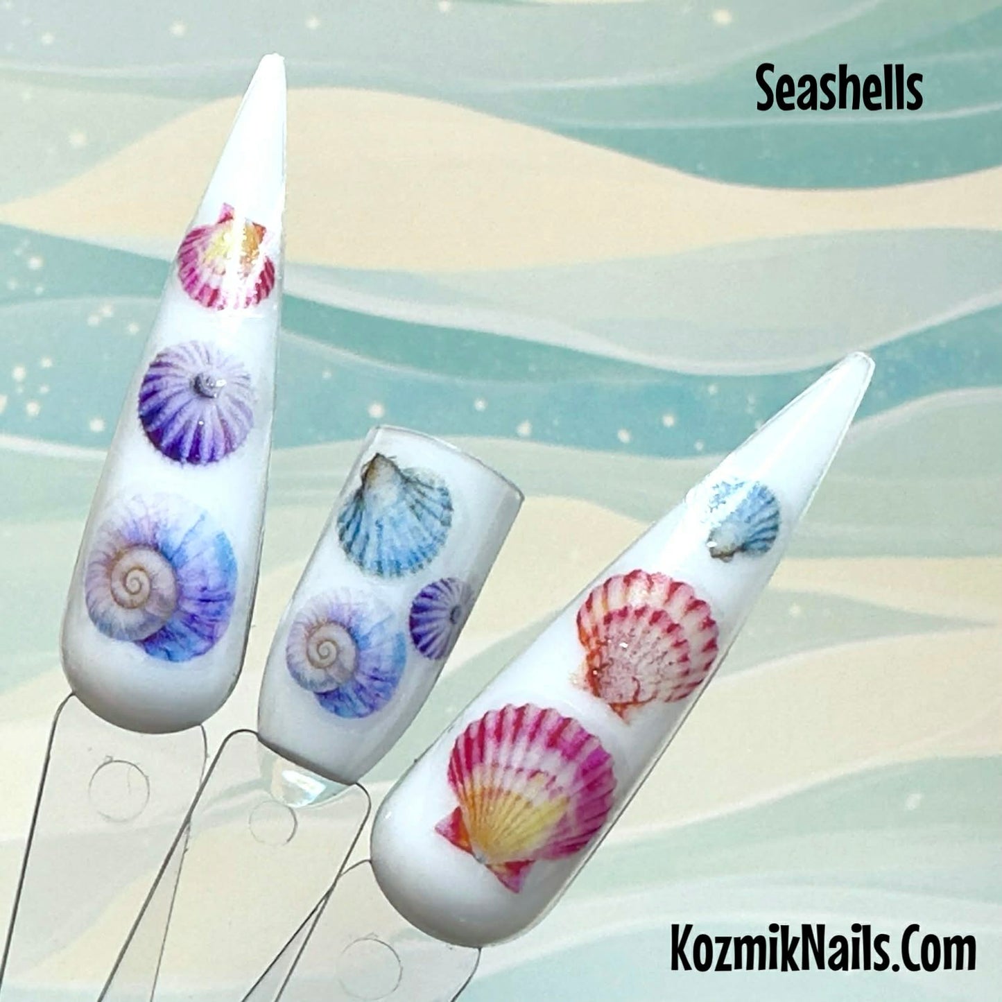 Seashells