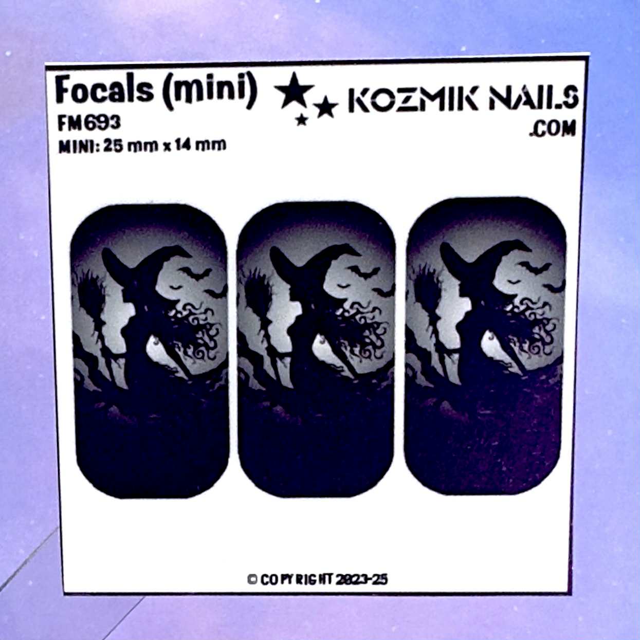 F693 Witch with Broom