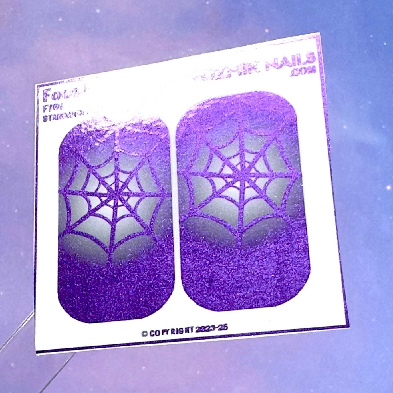 F701 Spider Web Silhouette