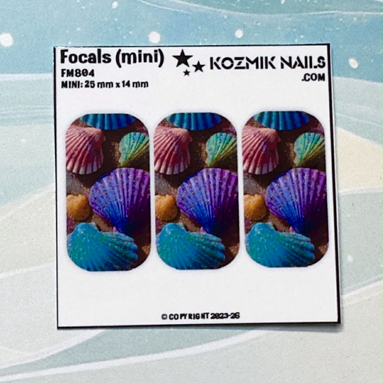 F804 Painted Sea Shells