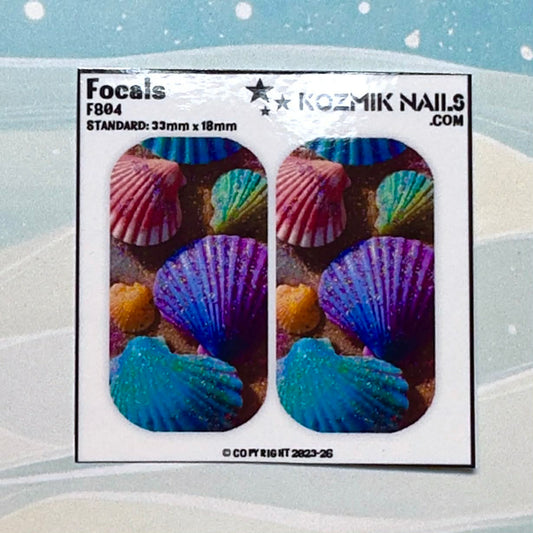 F804 Painted Sea Shells