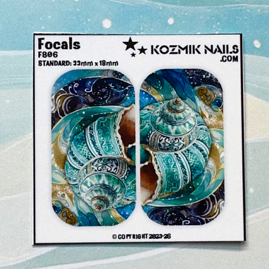 F806 Decorated Sea Shell