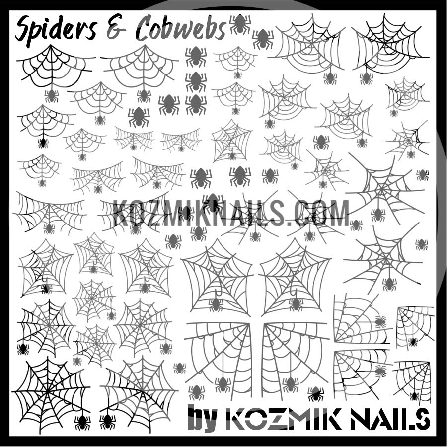 Araignées et toiles d'araignées