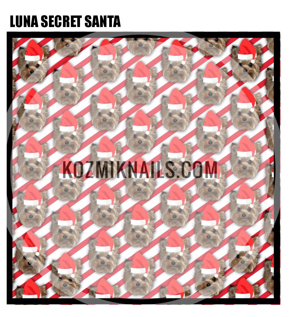 Luna Secret Santa